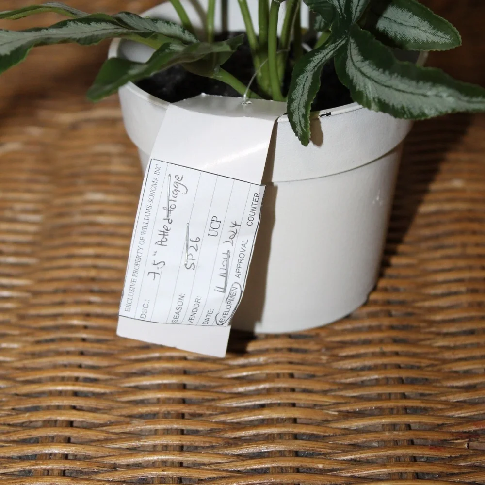 Williams Sonoma Artificial Potted Foliage.
